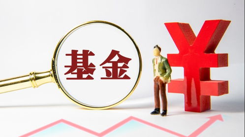 財(cái)經(jīng)滾動 數(shù)字時代的新聞脈搏與信息服務(wù)革新